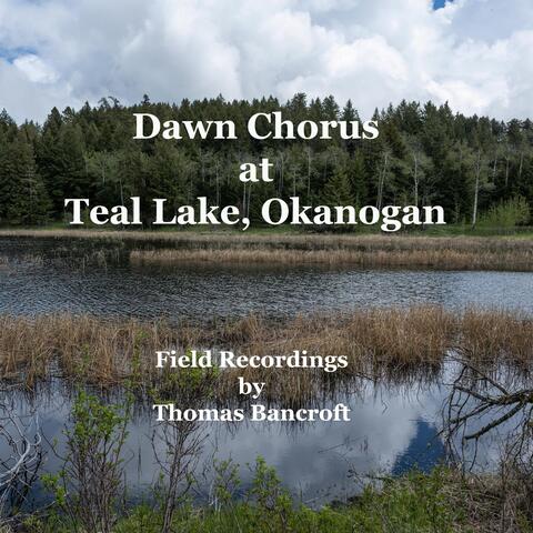 Dawn Chorus at Teal Lake, Okanogan