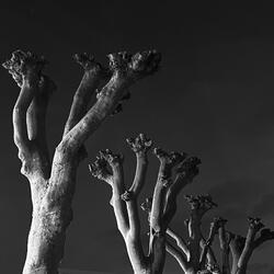 Where's the Other Shoe?