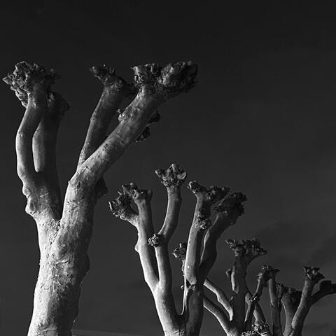 Sounds Like She's Loaded