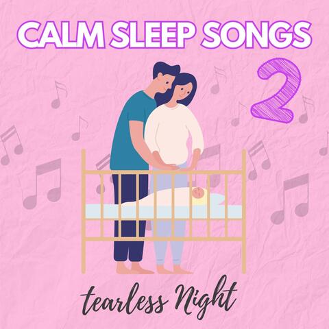 Calm Sleep Songs 2