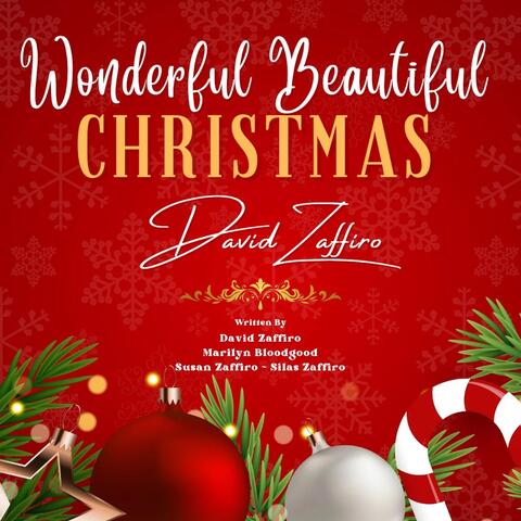 Wonderful Beautiful Christmas