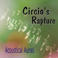 Acoustical Auras