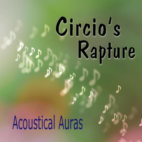 Acoustical Auras