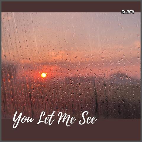You Let Me See