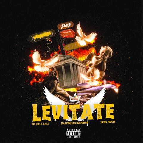 Levitate