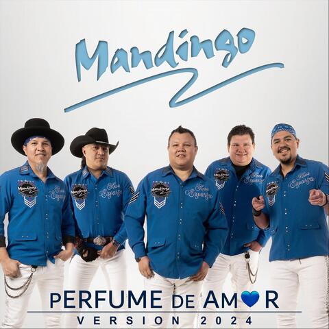 Perfume de Amor (Versión 2024)