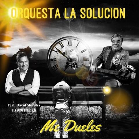 Me Dueles (feat. David Morales el Capitan de la Salsa)