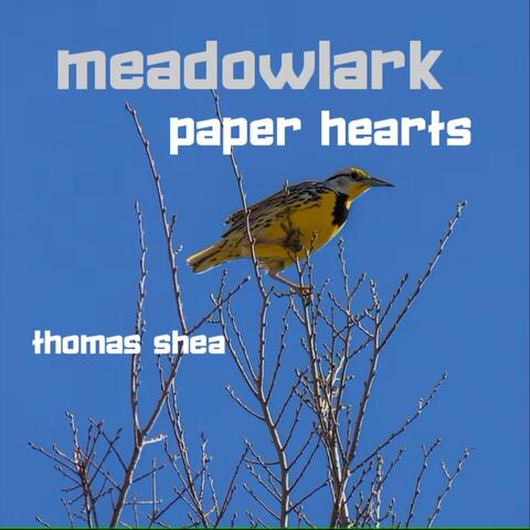 Meadowlark Paper Hearts