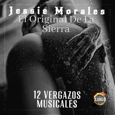 12 Vergazos Musicales