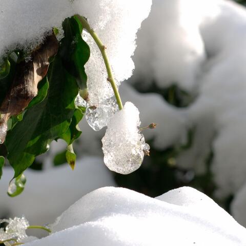 A Warm Shelter