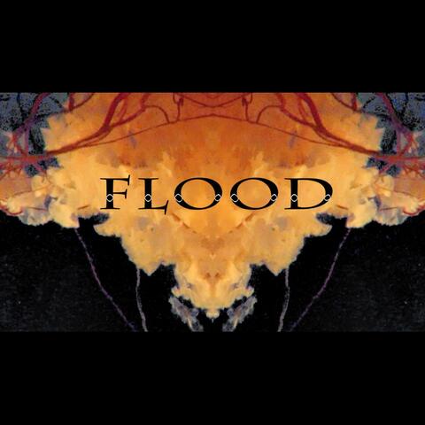 Flood