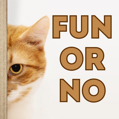 Fun or No