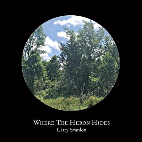 Where the Heron Hides