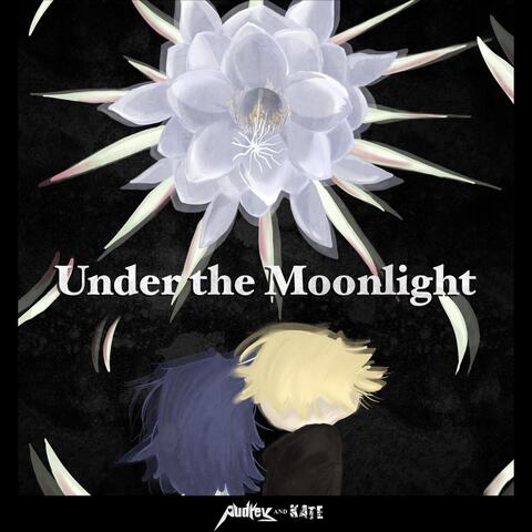 Under the Moonlight
