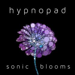 Decomposing Petals