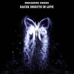 Racer Insects in Love