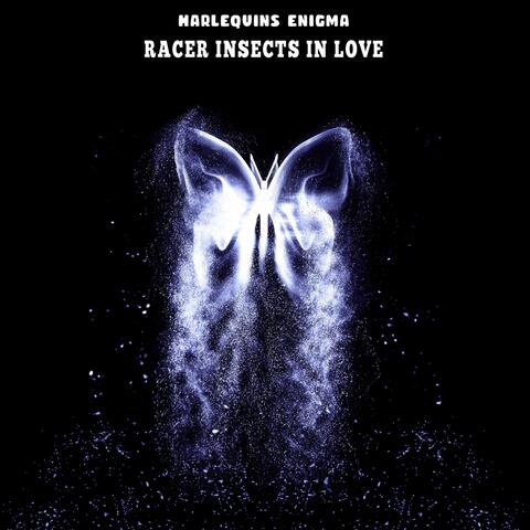 Racer Insects in Love