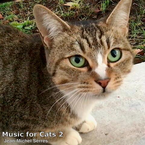 Music for Cats 2