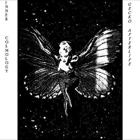 Inner Cosmology