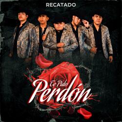 Te Pido Perdón