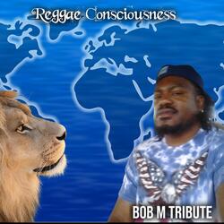 Reggae Consciousness Bob M Tribute
