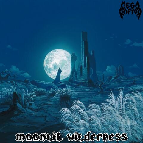 Moonlit Wilderness