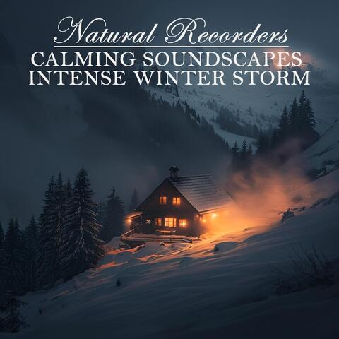 Calming Soundscapes Intense Wınter Storm