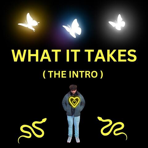 What It Takes (The Intro)
