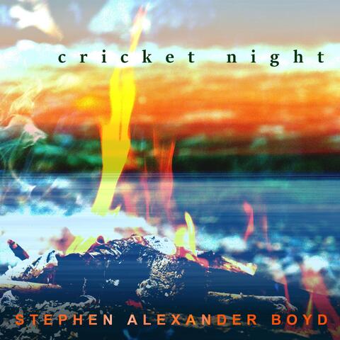 Cricket Night