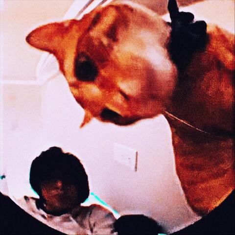 Fighting CatConscience (Remastered 2024)