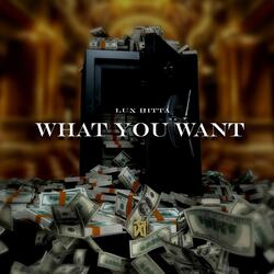 WHAT YOU WANT