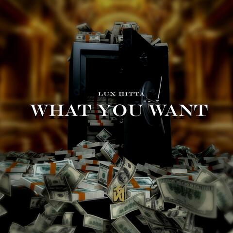 WHAT YOU WANT