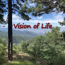 Vision of Life