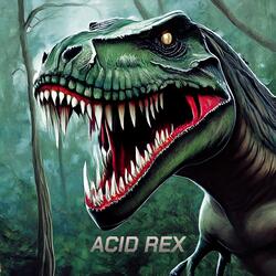 ACID REX