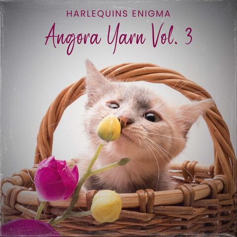 Angora Yarn, Vol. 3