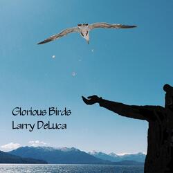 Glorious Birds