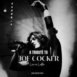 Hard Knocks (Live in Lublin)