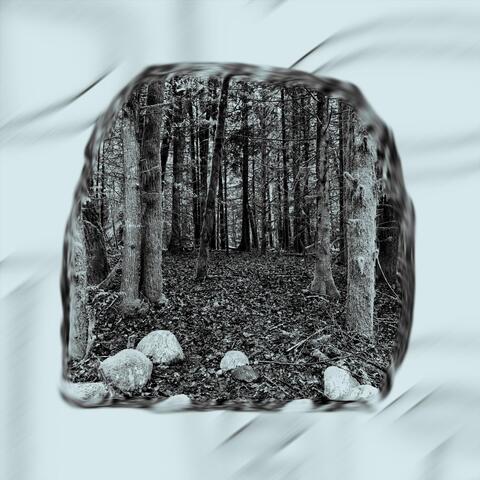 Forest Ring