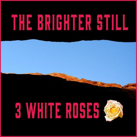 3 White Roses