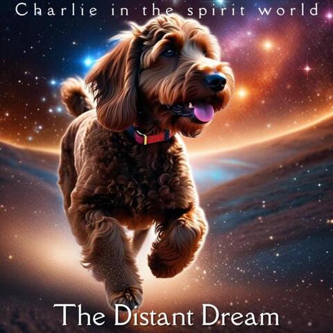 Charlie in the Spirit World