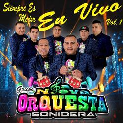 Vámonos al Baile (En Vivo)