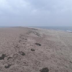 Conversation with Mary