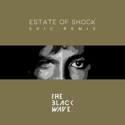State of Shock (Epic Remix)