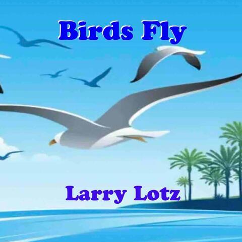 Birds Fly