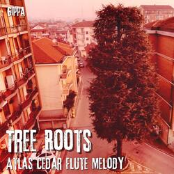 Tree Roots (Atlas Cedar Flute Melody)