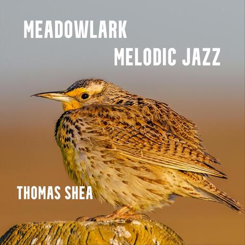 Meadowlark Melodic Jazz