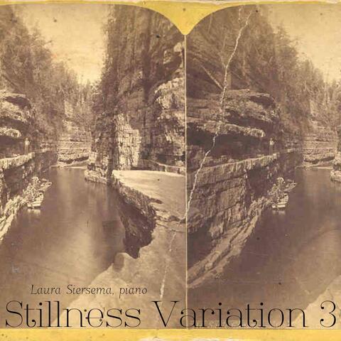 Stillness Variation 3