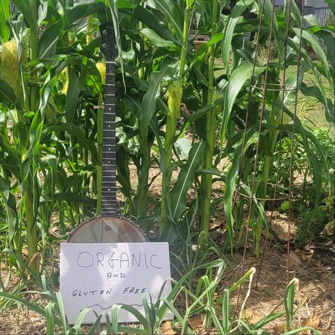 Organic and Gluten Free