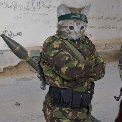 Wars