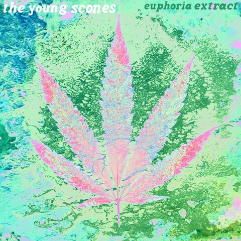 Euphoria Extract